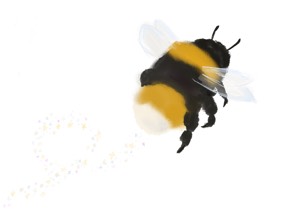 Illustration: A big bumble bee has done a loop the loop and is flying upwards, it has a little magic dust vapour trail following behind, it's going that fast!